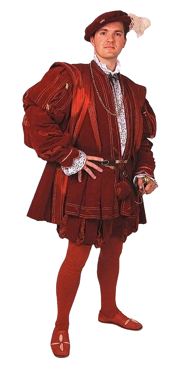 Red Henry men's costume