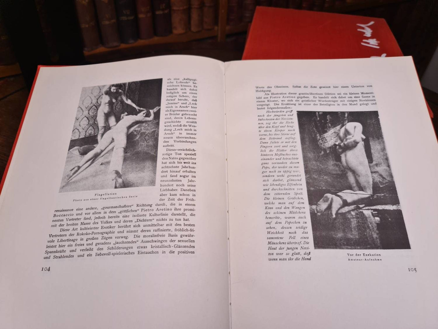 Schertel Der Flagellantismus in literatur und bildnerei